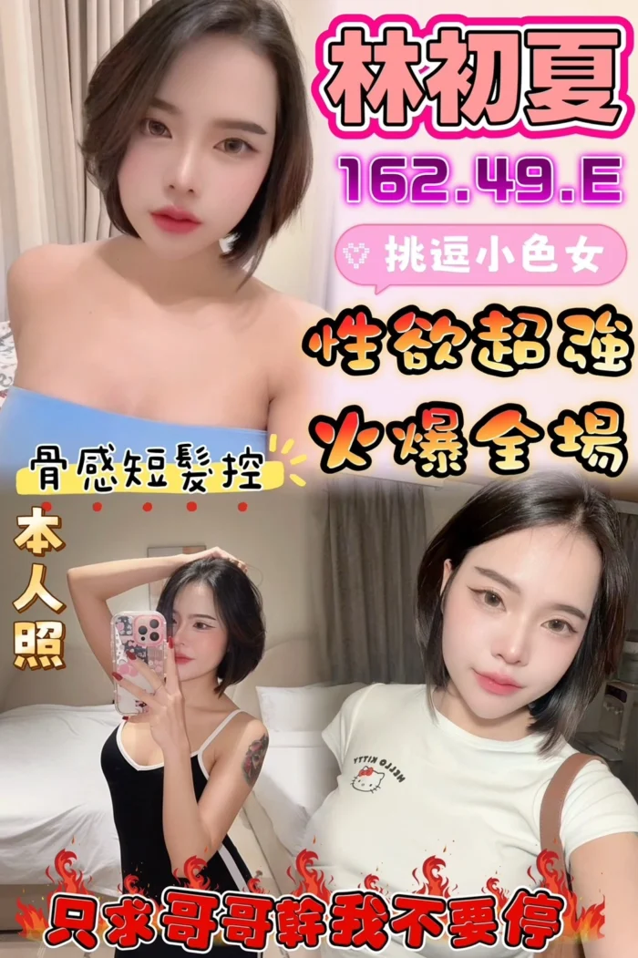 雲林定點茶-林初夏/162/49/?/E 雲林定點茶-林初夏/162/49/?/E