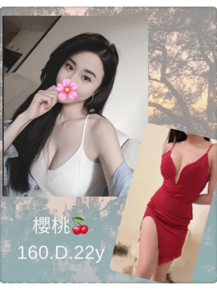 台北外送茶-櫻桃/160/?/22/D