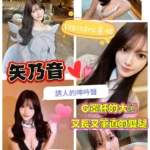 台北外送茶-矢乃音/170/52/?/G