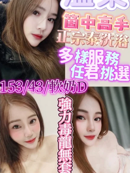 新竹定點茶-溫柔/153/43/24/D