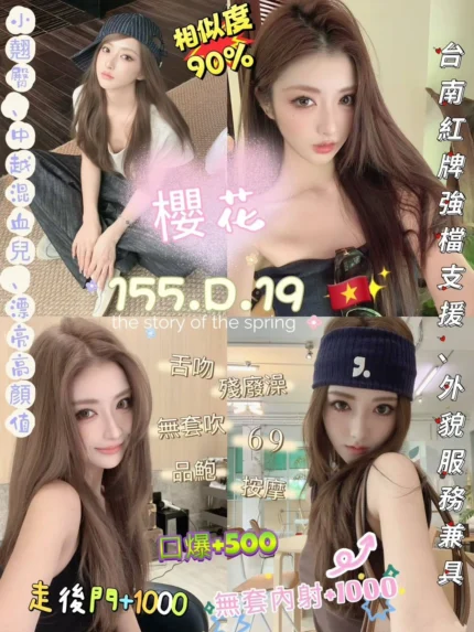 台北定點茶-櫻花/155/45/19/D