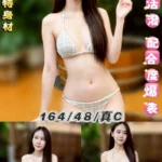 台北定點茶-小靜/164/48/22/C