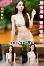 台北定點茶-小靜/164/48/22/C