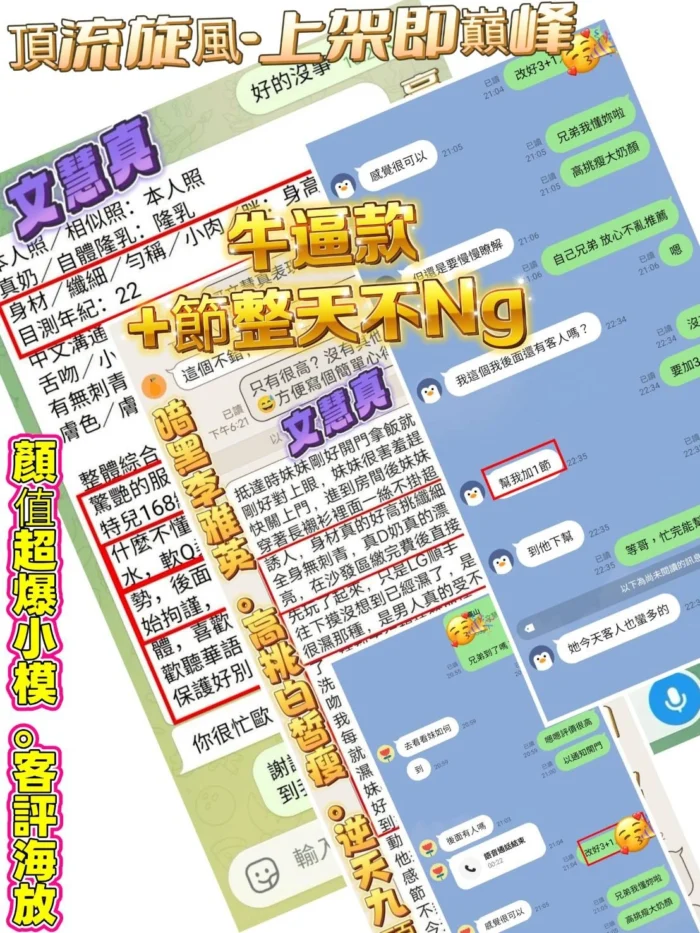 高雄定點茶-文慧真/166/43/20/E