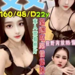 新北定點茶-文文/160/48/22/D