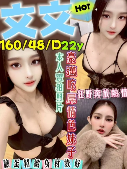 新北定點茶-文文/160/48/22/D