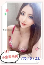 台北外送茶-小泉真由美/170/?/22/D
