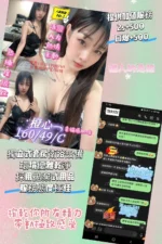 屏東定點茶-橙心/160/49/26/C