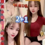 桃園定點茶-洛洛/150/40/21/D