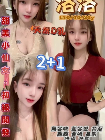 桃園定點茶-洛洛/150/40/21/D