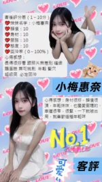 桃園定點茶-小梅惠奈/157/47/20/C