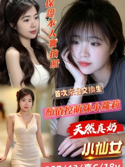 台南定點茶-小仙女/157/43/18/C