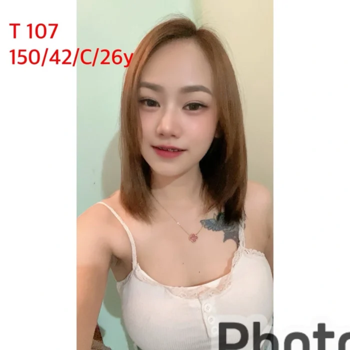 嘉義定點茶-T107/150/42/26/C