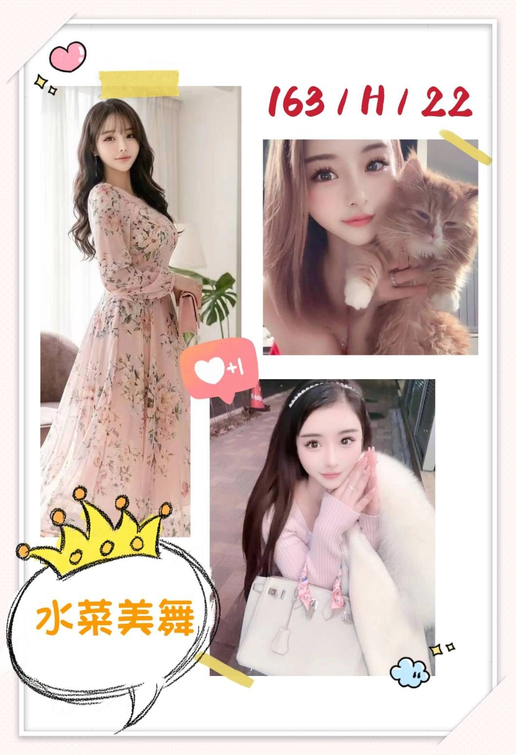 台北外送茶-水菜美舞/163/?/22/H 台北外送茶-水菜美舞/163/?/22/H