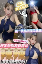 台中定點茶-辣辣/163/42/?/D