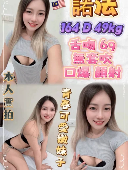 新北定點茶-諾法/164/49/20/D