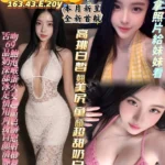 高雄定點茶-美波波/163/43/20/E