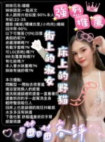 台南定點茶-喵喵/164/48/22/D