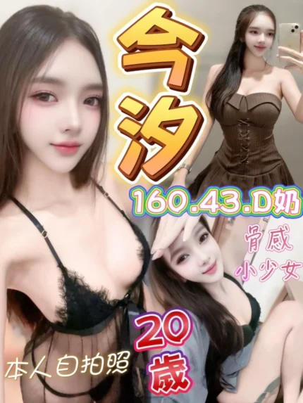 台中定點茶-今汐/160/43/20/D