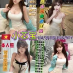 台北定點茶-小芯寶/161/45/21/E