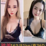 南投定點茶-雅美/165/51/24/D