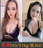 南投定點茶-雅美/165/51/24/D