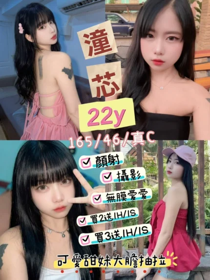 台東定點茶-潼芯/165/46/22/C