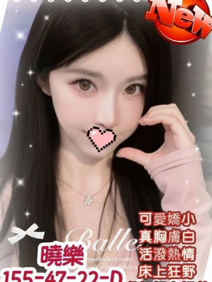 高雄外送茶-曉樂/155/47/22/D
