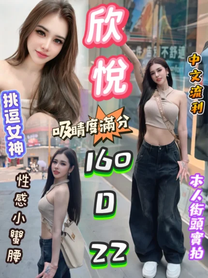 台北定點茶-欣悅/160/?/22/D