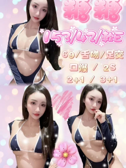 新竹定點茶-糖糖/153/42/24/E