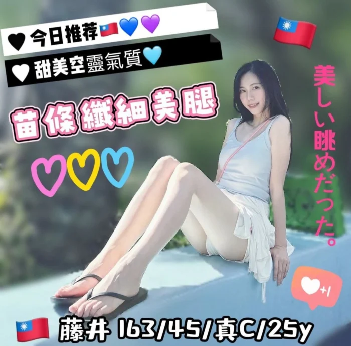 台中定點茶-藤井/163/45/25/C