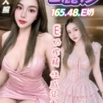 台中定點茶-E麗莎/165/48/?/E