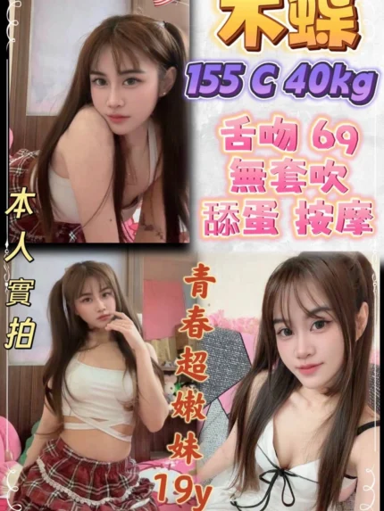 新北定點茶-木蝶/155/40/19/C