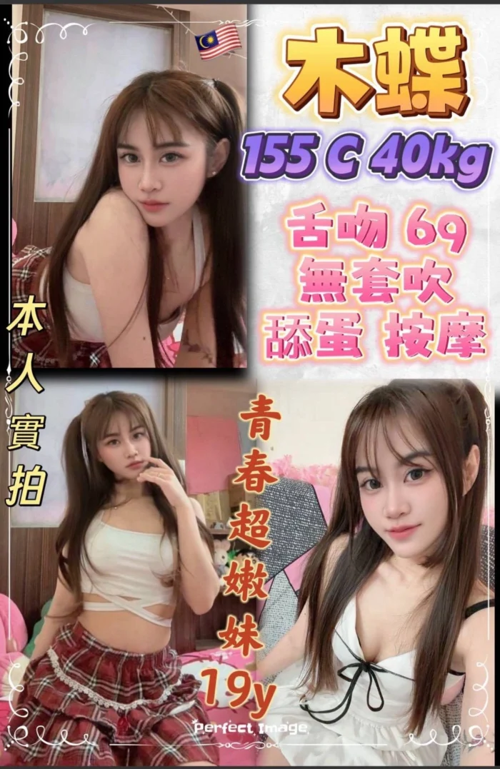 新北定點茶-木蝶/155/40/19/C 新北定點茶-木蝶/155/40/19/C