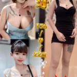 新北定點茶-麥芽/156/45/22/D
