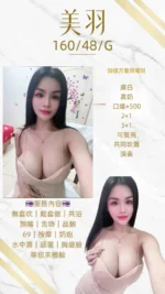 桃園定點茶-美羽/160/48/20/G