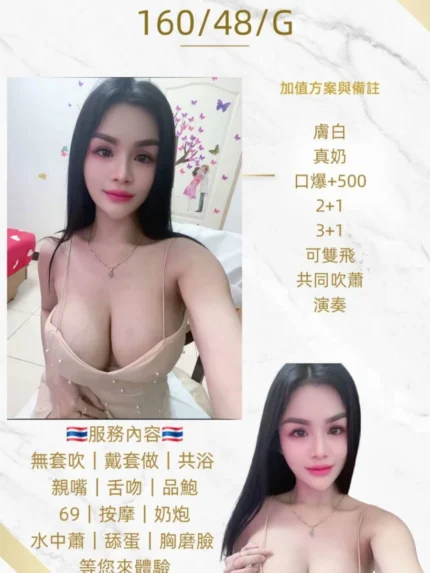 桃園定點茶-美羽/160/48/20/G