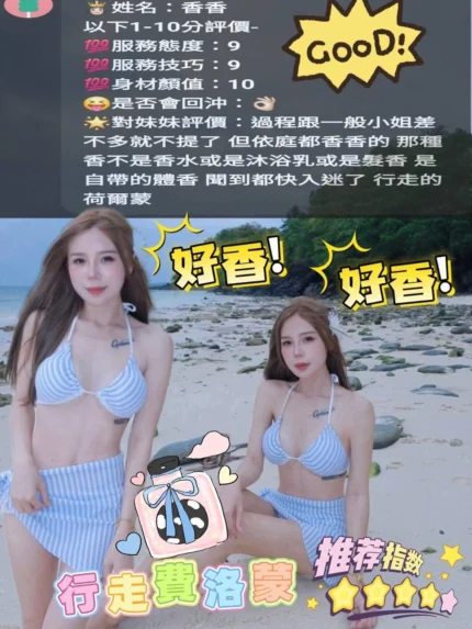 苗栗定點茶-香香/159/48/?/D