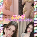 桃園定點茶-王心凌/164/46/20/E