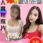 苗栗定點茶-小派/155/46/22/C