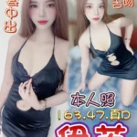 台中定點茶-伊芙/163/47/?/D