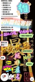 新竹定點茶-小蘿拉/160/46/20/E