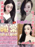 台北定點茶-映棠/158/43/19/D
