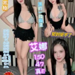 高雄定點茶-艾娜/150/47/?/E