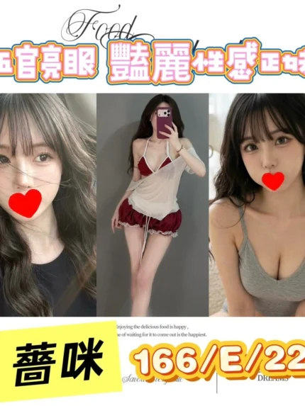 台北外送茶-薔咪/166/?/22/E