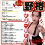 新竹定點茶-野格/151/44/23/C