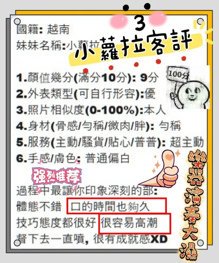 新竹定點茶-小蘿拉/160/46/20/E
