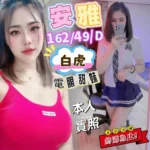 嘉義定點茶-安雅/162/49/26/D