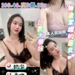 新竹定點茶-艾薇/160/46/23/D