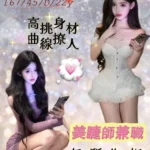 桃園外送茶-周揚青/167/45/22/D